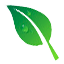 Главная